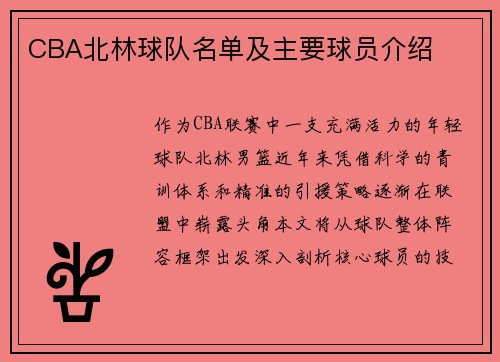 CBA北林球队名单及主要球员介绍