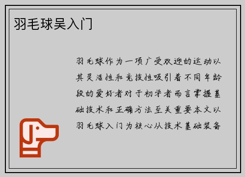 羽毛球吴入门