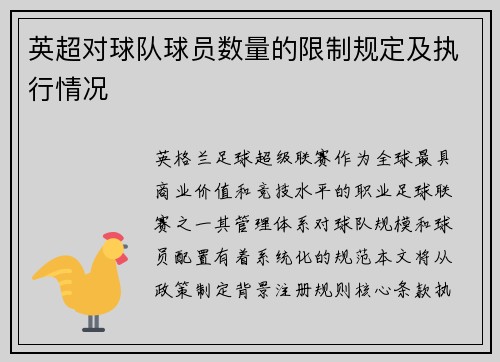 英超对球队球员数量的限制规定及执行情况